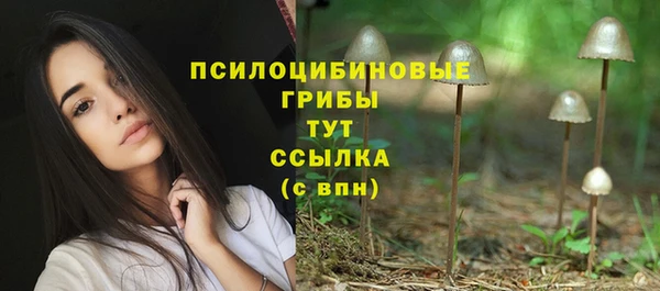 дурь Богородицк