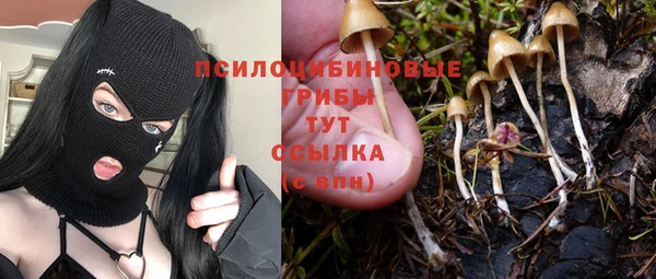 кокаин перу Богданович