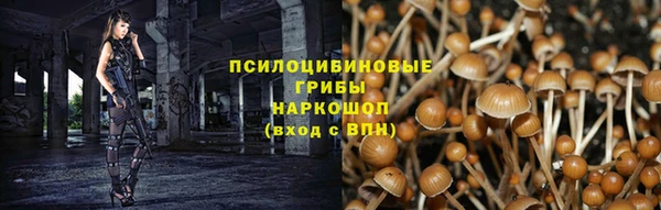 дурь Богородицк
