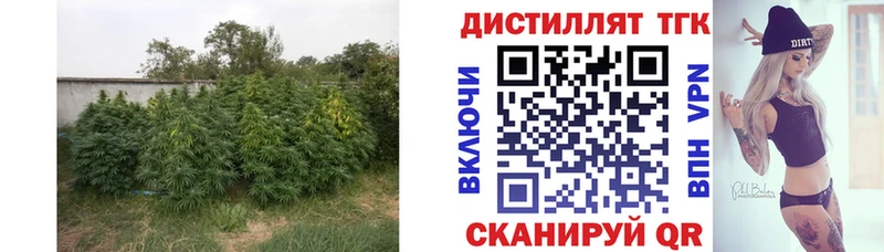 ТГК Wax как найти закладки Абакан